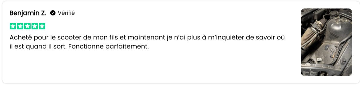 Avis